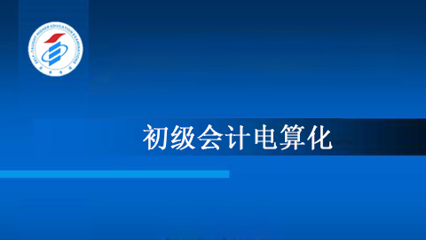 初级会计电算化